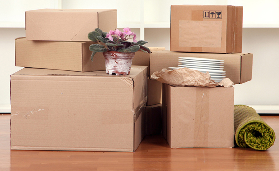packers and movers values